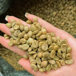 USDA Certified Specialty Robusta <b>Roasted</b> <b>Coffee</b> <b>Beans</b> Size 16 From 100% Natural Premium Quality Vietnam Direct Exporter - Product Image 1