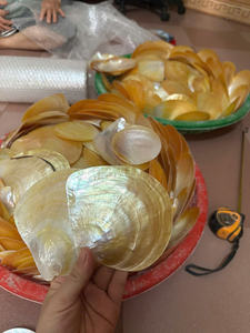 Assiettes en nacre, vaisselle de service décorative en coquillage artisanal vietnamien pour restaurants et usage domestique - Product Image 4