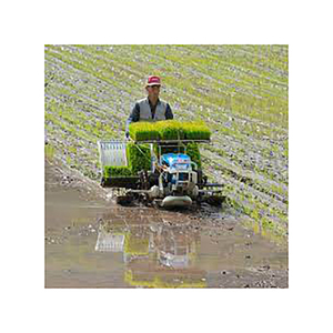 Transplanteur de riz assez utilisé fourni en lots de gros avec une capacité de plantation fiable - Product Image 3