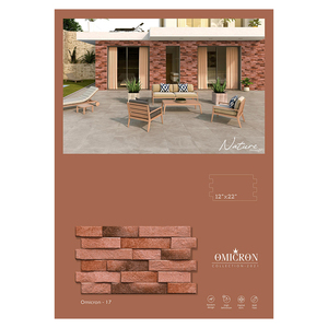 Carreaux de mur extérieur en céramique de qualité supérieure pour salle de bain et salon Décoration intérieure de l'Inde - Product Image 4