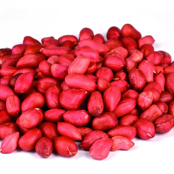 Kacang Jawa 100% Kacang Tanah Kering Alami Budidaya Umum Beli dengan Harga Murah Kacang Tanah