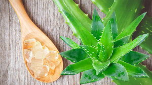 Rebanadas de Aloe Vera, producto en oferta, de Vietnam, alta calidad - Product Image 5