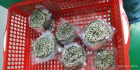 Premium gedroogde drakenfruit, drakenfruit vriesdroog, drakenfruit groothandel 2025, goedkope prijs