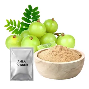 Poudre de Fruit Amla Pure à prix bas 100% pour cheveux de peau et utilisations multiples fabrication en inde vente en gros