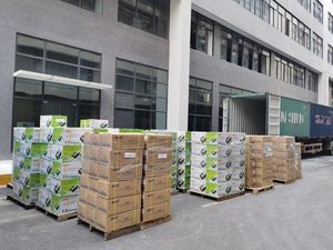 Inversores <span class=keywords><strong>MUST</strong></span> Conectados a la Red con <span class=keywords><strong>Cargador</strong></span> de CA PV18 VPM Power <span class=keywords><strong>24V</strong></span> 3KW <span class=keywords><strong>Inversor</strong></span> Híbrido Sistema <span class=keywords><strong>Solar</strong></span> Controlador de Carga <span class=keywords><strong>Solar</strong></span> Mppt - Product Image 4