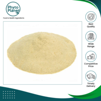 Poudre de racine de Pfaffia naturelle de qualité supérieure, haute pureté, en gros, provenant d'un fournisseur brésilien