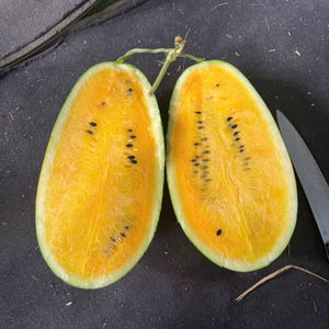 Sandía Fresca de Pulpa Amarilla al por Mayor - Fruta Tropical Premium Dulce y Jugosa de Vietnam - Product Image 1