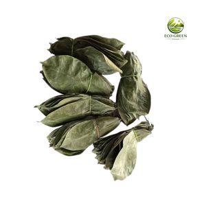 Feuilles de corossol séchées écologiques pour tisane, feuilles de graviola naturelles, fabricant en gros, service OEM Vietnam - Product Image 1