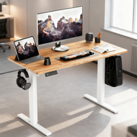 Escritorio de Oficina Ergonómico OEM con Motor Único de Dos Etapas, Altura Ajustable, 1200*600, Mesa Eléctrica para Computadora de Oficina