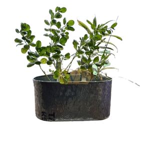 Classic Design Non-Rustable Oval Metallic Galvanized Iron Hanging <b>Basket</b> Home Garden Decoration <b>Plants</b> Pots Customizable Size - Product Image 2