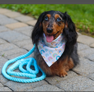 Blue <b>Dog</b> Rope <b>Leash</b> Accessory Customized Colored Cotton Rope Handmade <b>Dog</b> <b>Leash</b> Pet <b>Leash</b> Set - Product Image 2