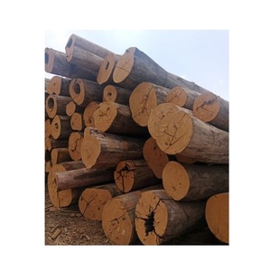 Troncos de Madera Meranti para Madera Contrachapada - Chapa, Madera Laminada y Madera de Ingeniería - Product Image 6