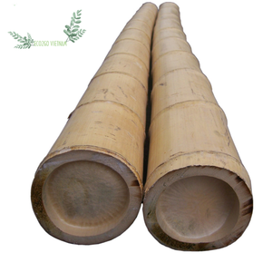Bastones de bambú biodegradables, ecológicos, baratos, hechos en Vietnam - Product Image 1