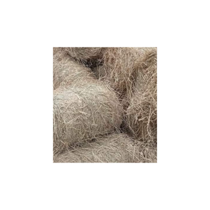 ข้าวแพดดี้ฟางข้าวแห้งเศษพืชหญ้าข้าวดิบบรรจุโดยม้วนหรือก้อนใหญ่สำหรับการส่งออก - Product Image 5