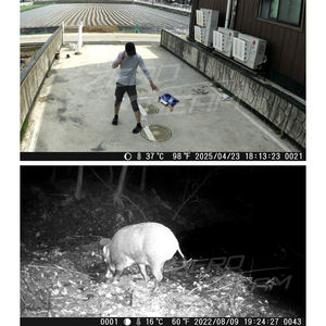 Açık kullanım için ZeroBeam T9 kablosuz taşınabilir kamera uzun pil operasyon IP66 su geçirmez 32m hareket algılama çiftlik alanı için - Product Image 5