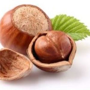 El mejor precio en avellanas secas de calidad superior a granel Entrega rápida disponible para compras al por mayor ¡Compre ahora! - Product Image 6