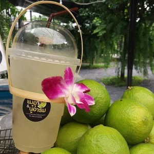 Asa de Bambú para Vasos para Cafeterías y Tiendas de Bebidas |   Reutilizable, Ecológico y Duradero |   Suministro OEM ODM - Product Image 1