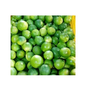 Lime Fruits And Vegetables Fast Delivery Natural Follow the Customer's Requirement Made in Vietnam Manufacturer