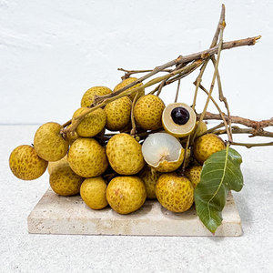 Longane congelé de qualité supérieure du Vietnam Récolte fraîche Fruit sucré et juteux de haute qualité pour les acheteurs en vrac et les revendeurs - Product Image 5