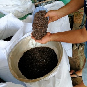 Pimienta Negra de Vietnam MC ASTA FAQ, Pimienta Entera Seca, Suministro de Fábrica, Exportación, Venta al por Mayor de Especias - Product Image 2