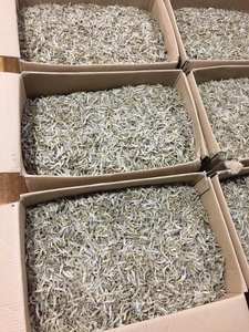 Anchoa seca hervida, pez pequeño, agua de temporada de alta calidad, Mar de fábrica de Vietnam - Product Image 5