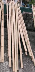 <b>Bamboo</b> Pole - Natural Dry Straight <b>Bamboo</b> Poles Stake <b>Cane</b> For Construction With Large Size Supply In Bulk From Vietnam - Product Image 3
