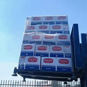 Petit-Bon 250g Halal HACCP Certified Golden Spaghetti Box Bulk Wholesale Pasta Plastic Bag Egypt Distributors International - Product Image 5