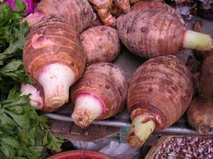 OFFRE SPÉCIALE Poudre de taro de haute qualité à prix raisonnable Utilisée pour préparer des boissons Poudre de lait de taro 2024 - Product Image 6