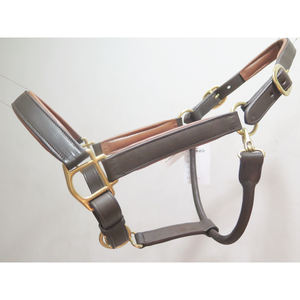 Licou de cheval en cuir indien en laiton massif avec accessoire de rembourrage coloré - Product Image 4