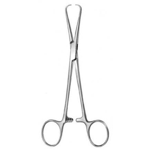 PISSCO Backhaus Towel <b>Clamps</b> Surgical Backhaus Towel <b>Clamps</b> Backhaus <b>Clamp</b> for Surgery 1 PCS Stainless Steel Made By Pissco - Product Image 6