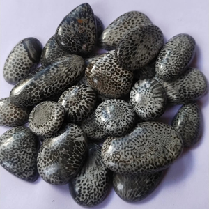 Coral Fossilizado Negro Natural de Primera Calidad, en Diversas Formas, para Joyería, Gemas Alba, Buen Precio - Product Image 1