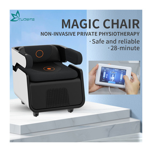 Professional Salon Use Pelvic Floor Muscle <b>Trainer</b> Urinary Incontinence Treatment Machine - Product Image 5