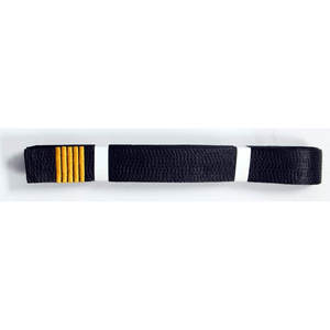 Ceinture d'arts martiaux noire de qualité supérieure pour le taekwondo, le judo et le karaté, idéale pour l'entraînement, les compétitions et un usage professionnel. - Product Image 1
