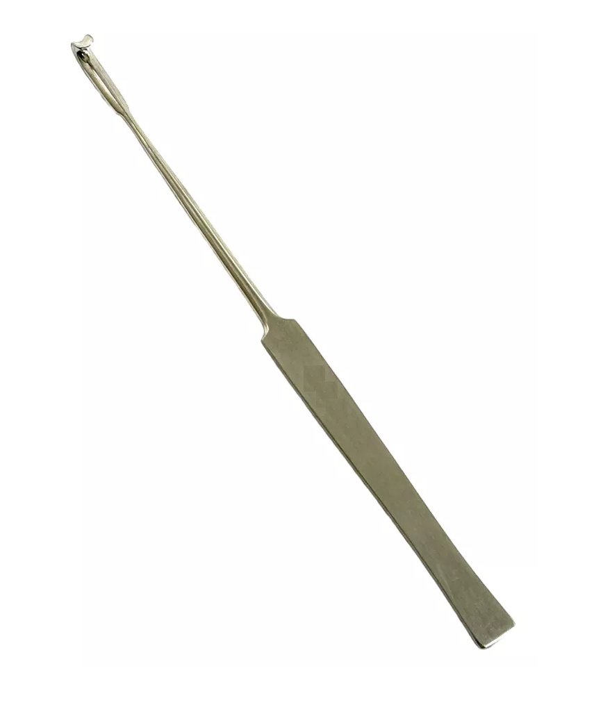 Spay Snook Hook For Cats Spay Snook Hook Ball Tip Animal Ovaries Spay Snook Hook For Cats Spay Snook Hook Ball Tip Animal Ovaries