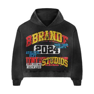 Personalizado Impreso Logo Diseño Ecológico 100% Algodón Transpirable Tallas grandes Mujeres Sudadera con capucha Pantalones cortos Conjuntos Otoño Puff - Product Image 1