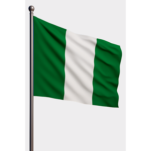 Drapeau fanion personnalisé du Nigeria, impression numérique, mât en aluminium et fibre de verre, polyester, soie, pour affichage automobile et usage extérieur - Product Image 1
