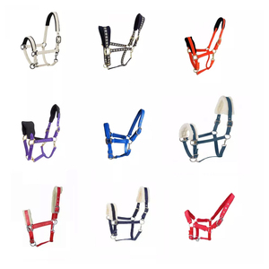 Harnais de course pour chevaux en PP en gros – Confortable, durable, rembourré, couleurs et logo personnalisables - Product Image 5