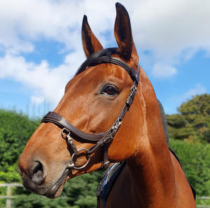 Multibridle de Equine Balance Anatomical Training Brida Color Marrón Tamaño Completo - Product Image 2