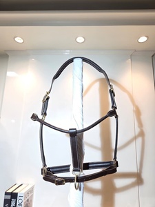 MH Global Exports AI314 Ecuestre Multicolor Cuero ajustable Corona Caballo Halter Logotipo personalizado Todos los tamaños Colores disponibles - Product Image 4