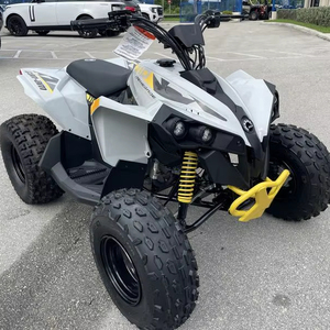 Vente rapide Renegade 110 EFI 2024 - Product Image 1