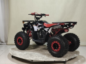 <strong>ATV</strong> UTV 150cc-800cc 2WD <strong>Quad</strong> <strong>Bike</strong> 4 Wheeler Motorcycle Automatic Chain Drive Transmission System - Product Image 4