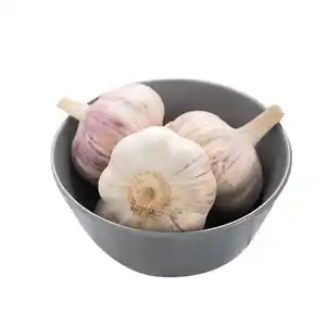 Good Selling Direct Farm Supplies Fresh Normal White Garlic Wholesale Garlic with Fresh Taste and Long Shelf Life Frozen Garlic