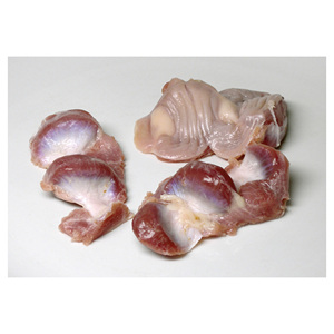 กระเพาะไก่คุณภาพดีที่สุด ฮาลาล กระเพาะไก่แช่แข็ง - Product Image 6