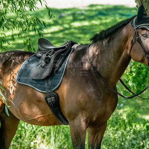 แผ่นรองอานม้าผ้าฝ้ายพร้อมซับขนแกะดีไซน์ตามสั่งหลากสี - Product Image 2