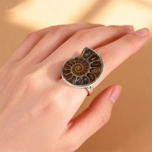 Collana con Ciondolo Fossile di Ammonite Naturale, Stile Vintage Unisex, Gioiello Unico da Spiaggia, Regalo per Donne e Uomini - Product Image 4