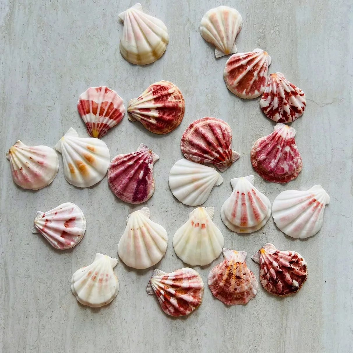 ธรรมชาติ