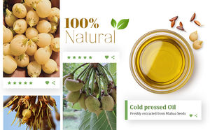 Huile de support Mahua pressée à froid pure et naturelle 100% utilisée dans la croissance des cheveux et l'huile de massage fournisseur en gros et exportateur en Inde - Product Image 2