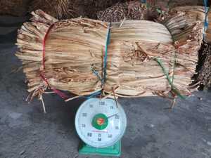 Fibras uniformes de jacinto de agua secas de alta resistencia, ideales para la fabricación de cestas, bolsos, manteles individuales y artículos ecológicos. - Product Image 5