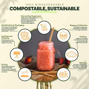 Pajitas Biodegradables de Bagazo de Caña de Azúcar para Bebidas, Compostables, Ecológicas, para Jugos y Té de Burbujas - Product Image 2