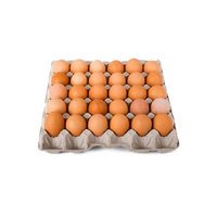Œufs de poulet de chair Cobb 500, fécondés, frais, blancs et bruns, à haute teneur en protéines, style conservé, à vendre